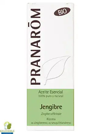 Pranarom AE jengibre bio Zingiber officinale