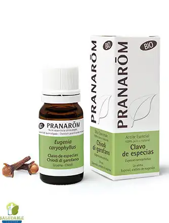 Aceite esencial clavo de especias bio Pranarom en bote de 10 ml sobre fondo blanco